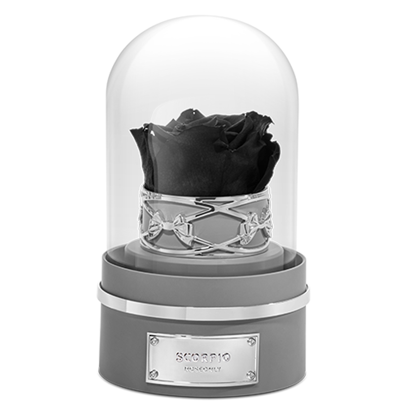 �Z��ROSEONLY���������ޱ�����������õ�廨������Ů���������˽����� ��Ы��-������-����-�ػ�ɫ    1248Ԫ