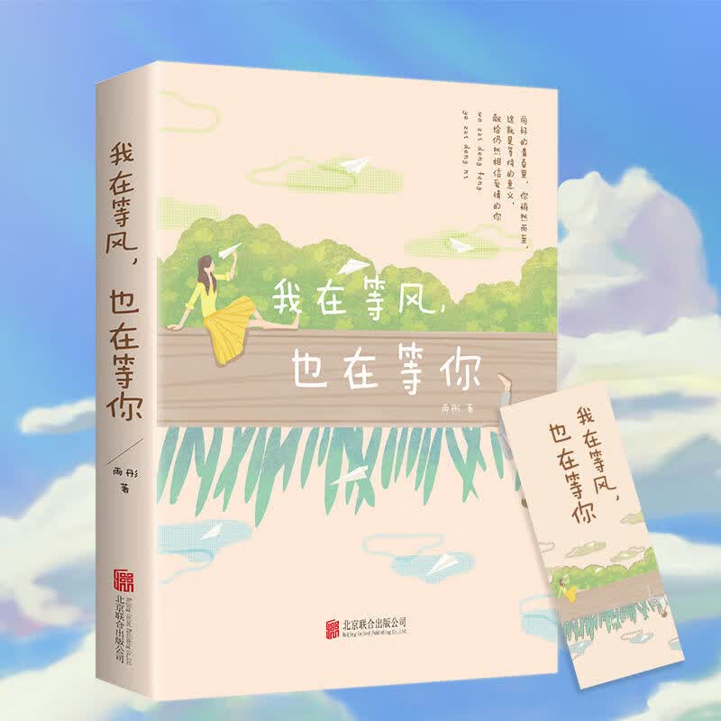 TS言情小说正版 我在等风也在等你 我在未来等你青春校园文学书籍 我在等风也在等你 无规格