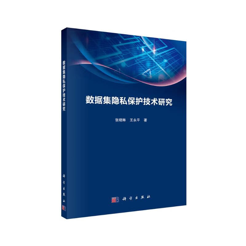 数据集隐私保护技术研究详情图