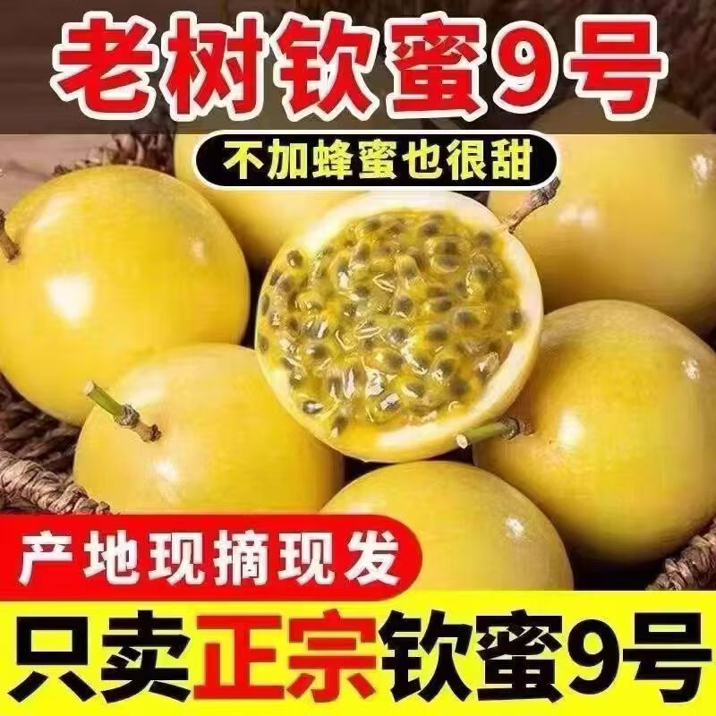 蜗牛生鲜【WoNiu】树上熟钦蜜9号黄金百香果正宗鸡蛋果当季新鲜果 1斤中果普箱装送勺子约6-8个