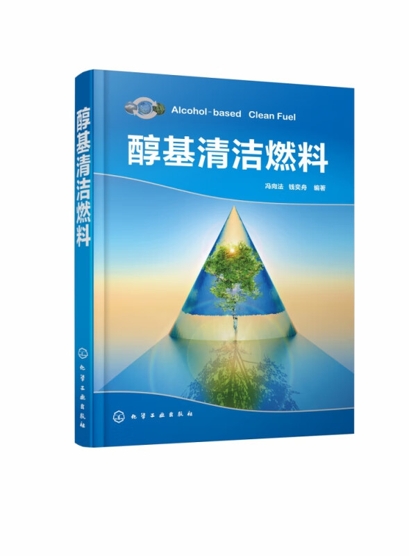 醇基清洁燃料