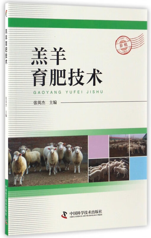 羔羊育肥技术