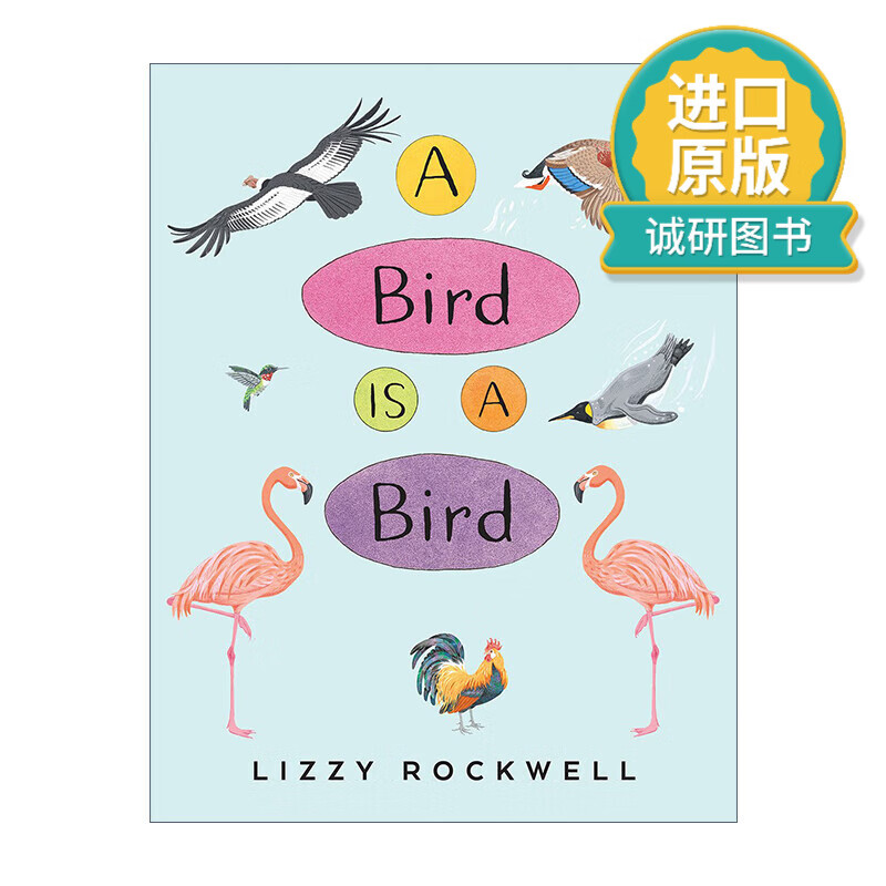 小鸟就是小鸟 儿童自然主题绘本 lizzy rockwell 英文版 进口英语原版