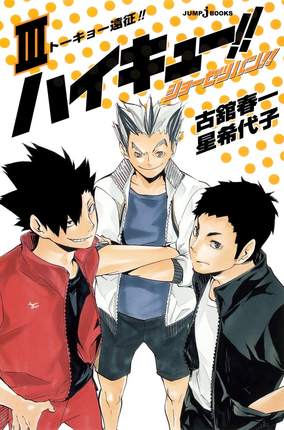 小说 排球少年 3 ハイキュー！！ショーセツバン！！３ 古舘春一 星希代子 著 日本进口漫画周边