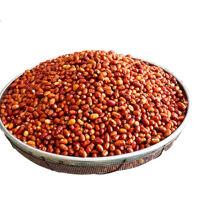 虎钢馋小沙枣味道酸甜休闲食品泡茶煲汤煲粥做沙枣馍馍优选一斤