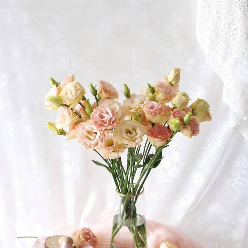 查询京东鲜花速递价格走势|鲜花速递价格走势