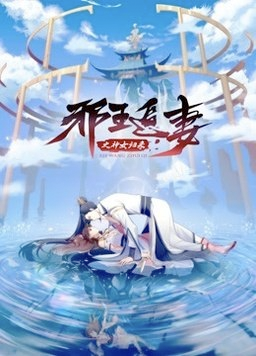 邪王追妻第三季