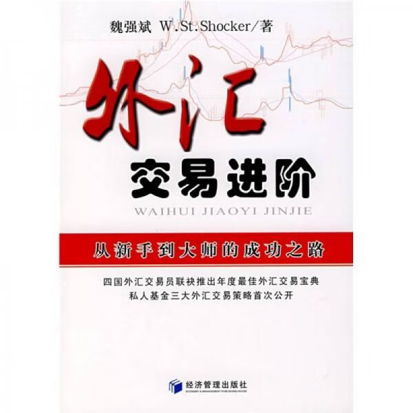 外汇交易进阶：从新手到大师的成功之路9787509601679经济管理出版社