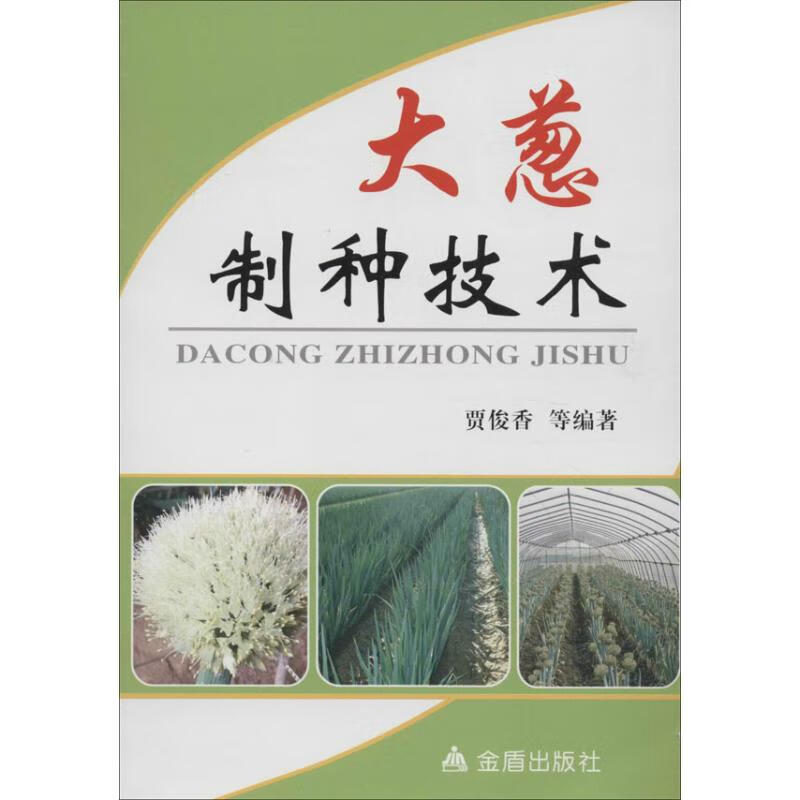 大葱制种技术