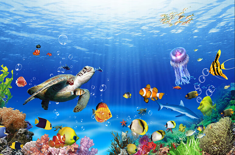 防水防油3d立体卡通海洋海底世界墙纸游泳馆水儿童房墙贴纸壁画 a款