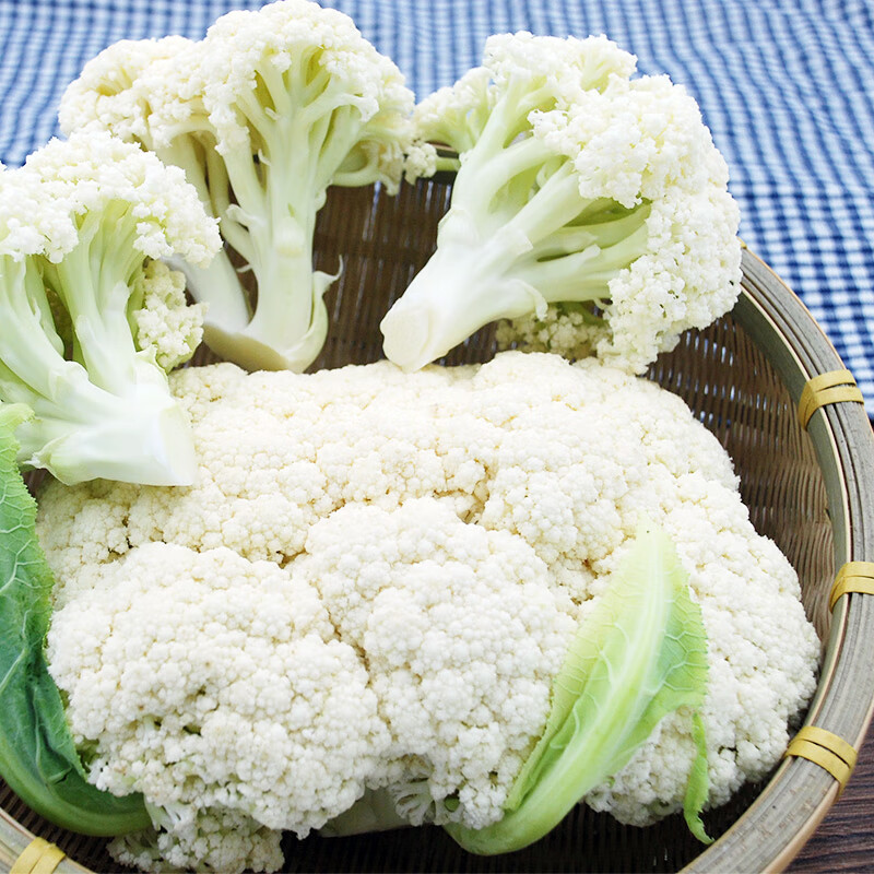 白花菜 相关京东优惠商品 价格图片品牌优惠券 虎窝购