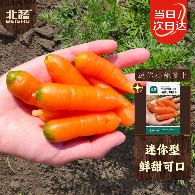 北蔬 迷你胡萝卜种子手指水果胡萝卜蔬菜种籽 迷你小胡萝卜种子150粒