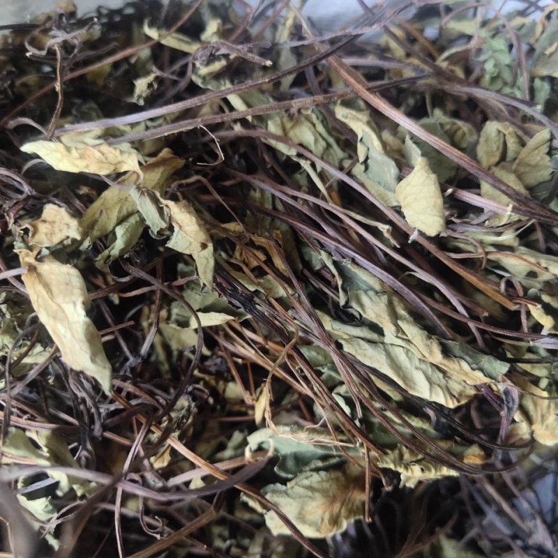 中药材500克 天然野生费心草 梅花草 白侧耳 新鲜干货 500克 肺心草