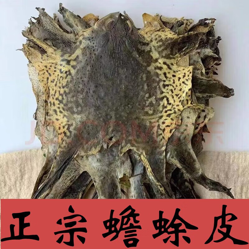 北京同仁堂蟾蜍外皮特大整张癞蛤蟆皮干蟾蜍 癞赖蛤蟆皮 蟾蜍衣干货