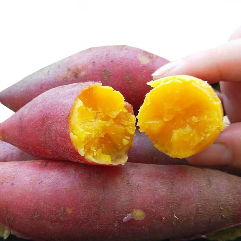 【现摘】【香甜粉糯】沙地红薯批发板栗番薯地瓜红薯新鲜蜜薯蔬菜2/5/9斤 红薯5斤小果