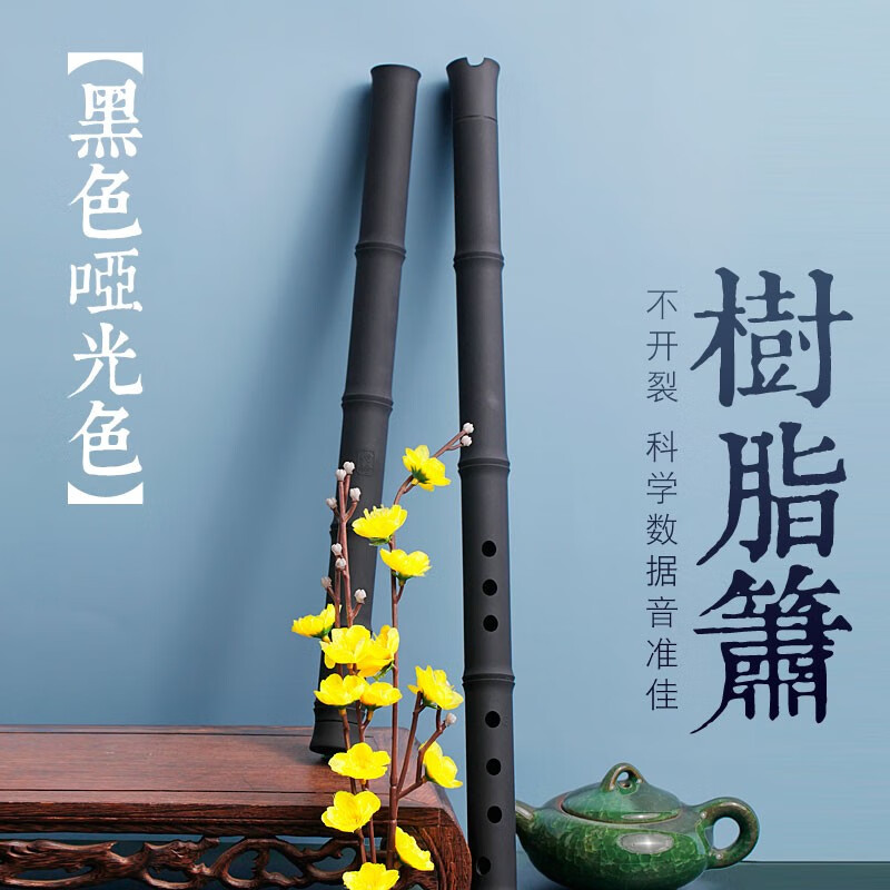 伶吟专业演奏树脂箫8孔洞箫高档不开裂G调初学入门古风九节萧乐器 黑色款 8孔正手G调属于什么档次？