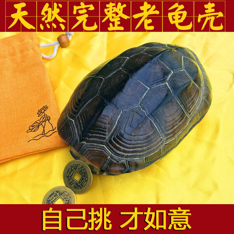 尤柯鸟(yoekbird)龟壳铜钱摇卦起卦龟甲天然完整真乌盘玩手把件摇用