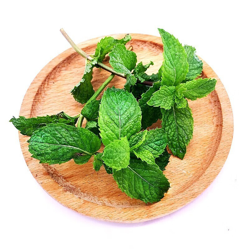 青尊园薄荷叶新鲜食用泡水装饰烘焙调酒水鲜薄荷叶食用 净重250g