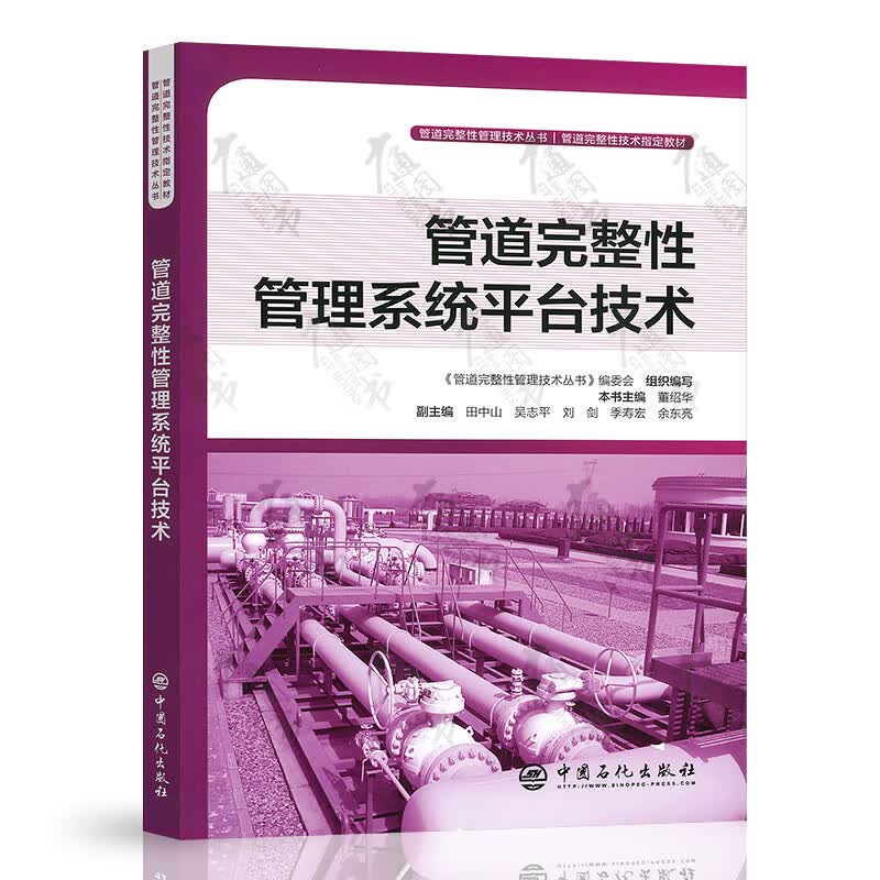 管道完整性管理系统平台技术