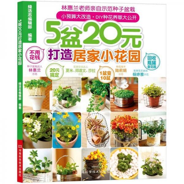 5盆20元打造居家小花园97875349