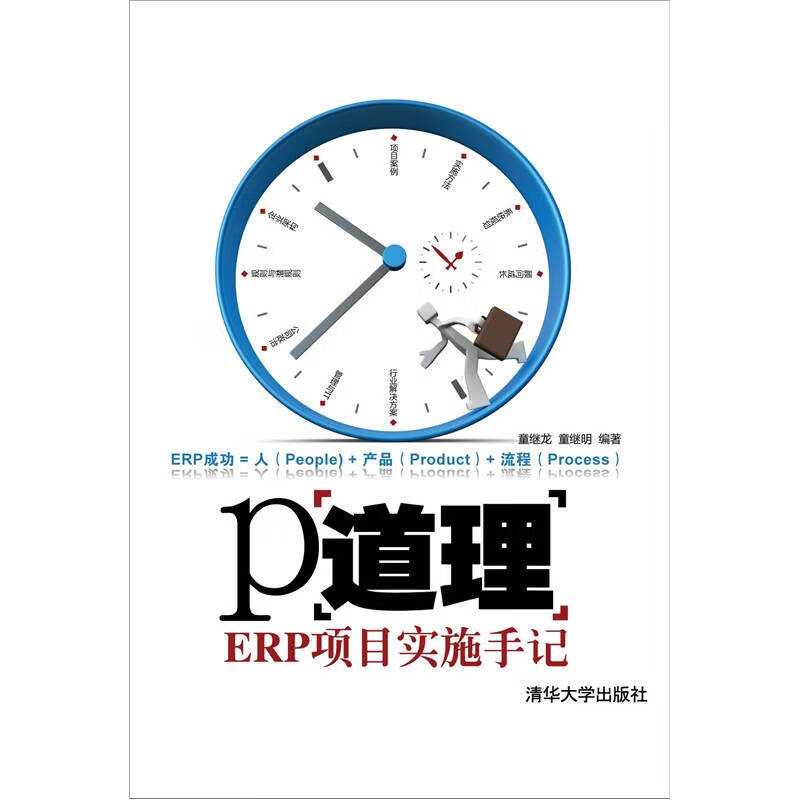 P道理 ERP项目实施手记【正版现货】