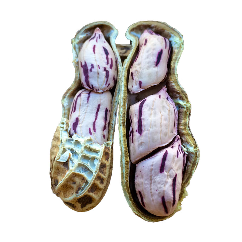 雷禾泽云南七彩花生野地带壳生的种子五彩色花生挑选新货一斤炒货