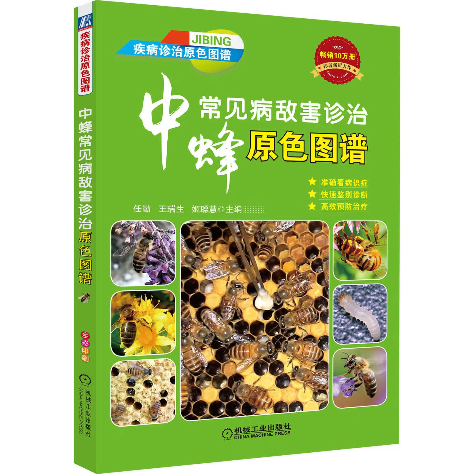 中蜂常见病敌害诊治原色图谱