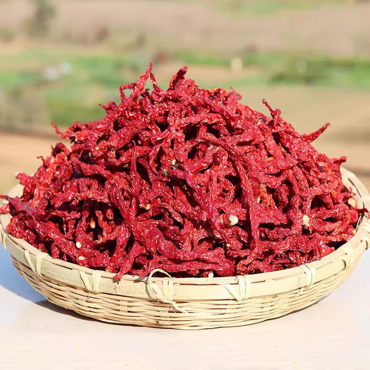 罗三胖干辣椒微辣农家自制二荆条干辣椒皱皮辣椒 500克