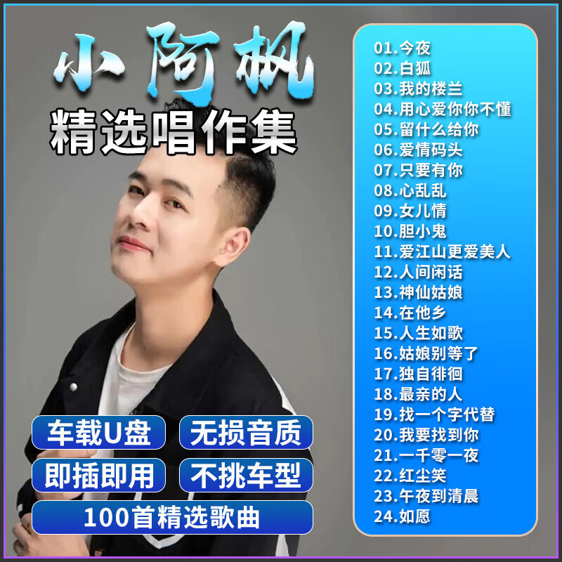 小阿枫专辑车载u盘网红热门翻唱流行歌曲无损高音质车用音乐优盘