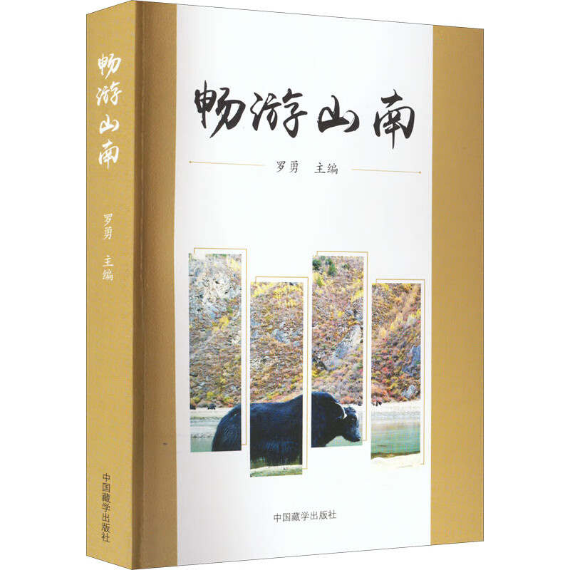 畅游山南 图书