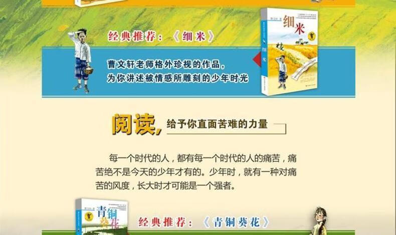 曹文轩经典长篇小说礼盒