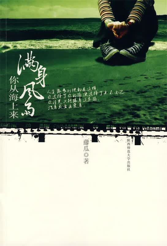 满身风雨你从海上来