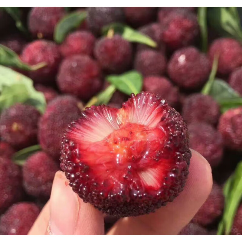 冷冻【东魁】新鲜杨梅仙居慈溪带箱水果 4斤使用感如何?