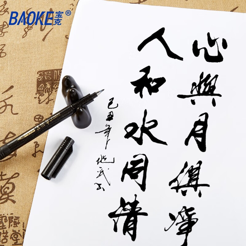 宝克（BAOKE）秀丽笔 软笔 可加墨书法笔 学生书法练字笔 国画 工笔 勾线笔 科学毛笔 文房用品 黑笔大楷中楷小楷极细+2瓶25ml墨水 练字 文房用品