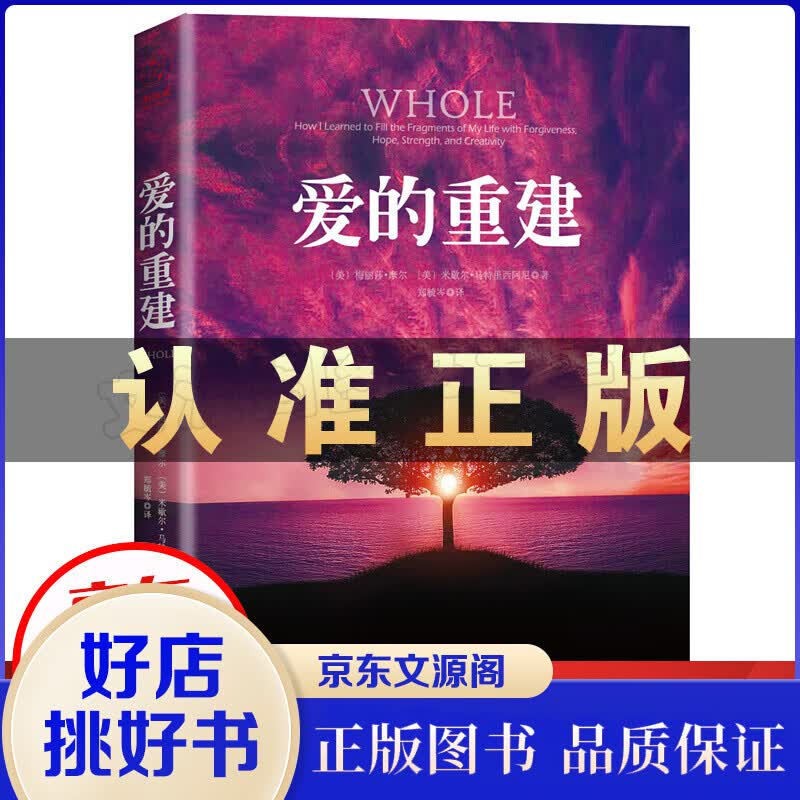 爱的重建 梅丽莎摩尔疗愈自己 远离苦痛 鼓励大家如何在支离破碎的过去中接受现实 找到真实