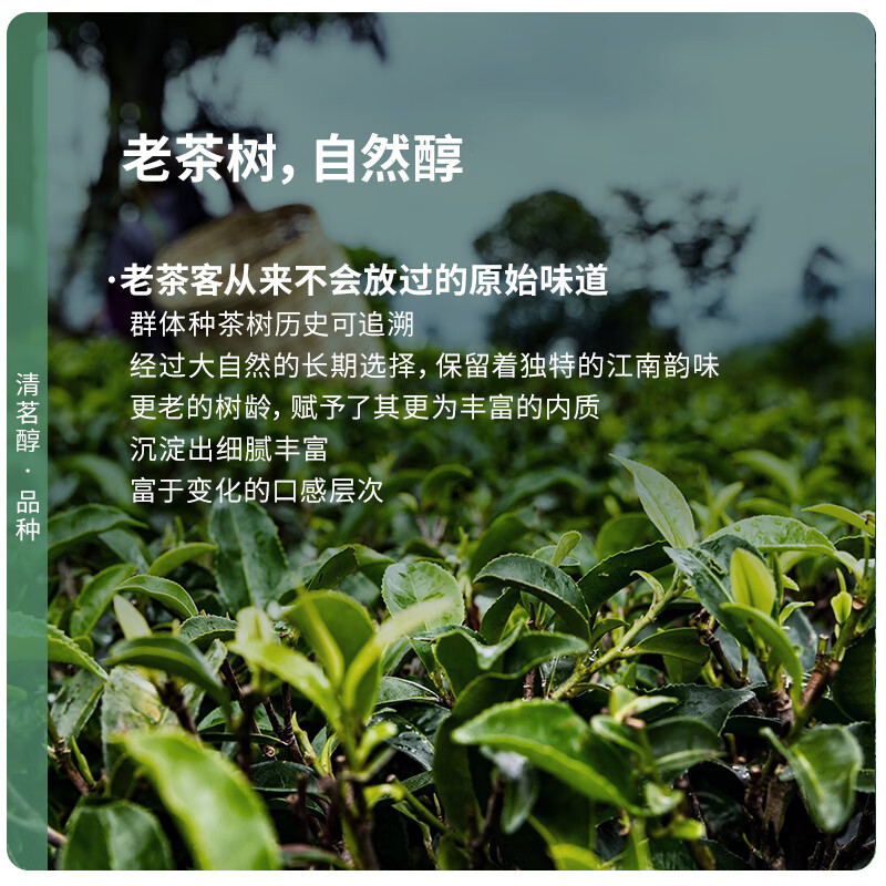卢正浩绿茶上瘾龙井茶叶一级200g 2024新茶明前老树龙井纸包自饮送礼