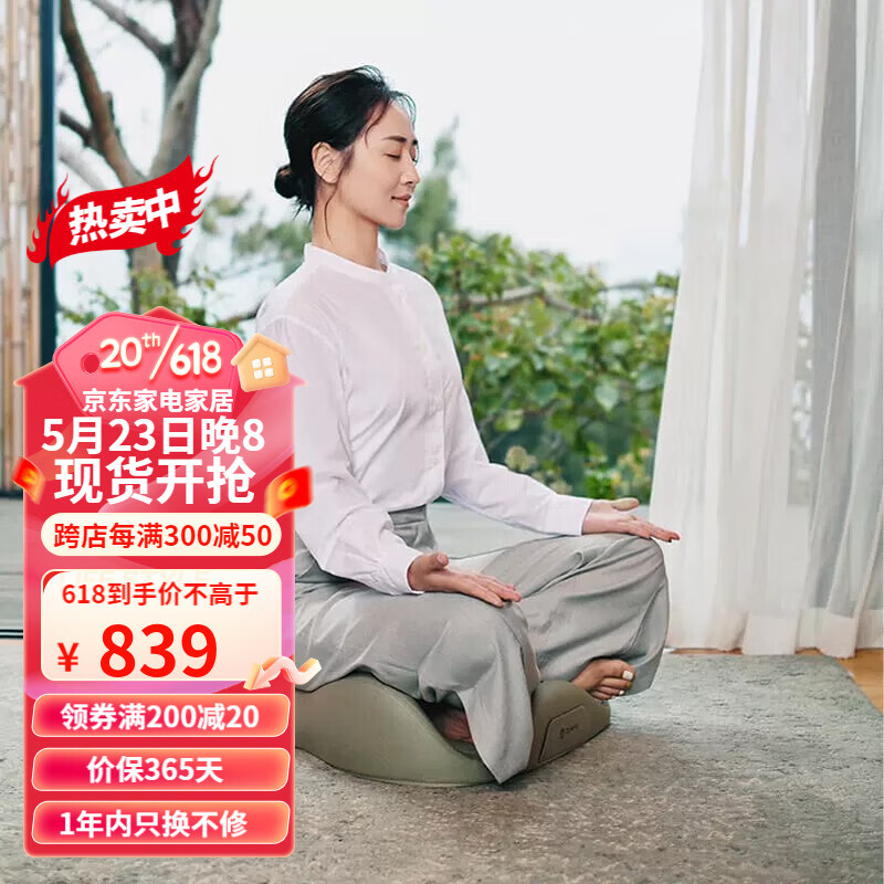 可以看京东美臀垫历史价格|美臀垫价格走势图