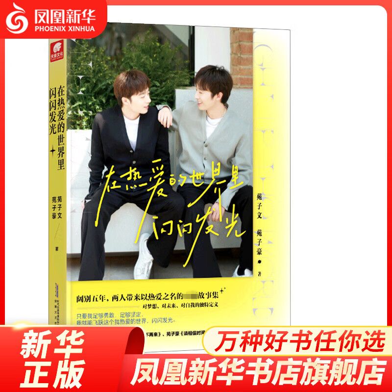 在热爱的世界里闪闪发光 苑子文苑子豪 著 青春/都市/言情/轻小说