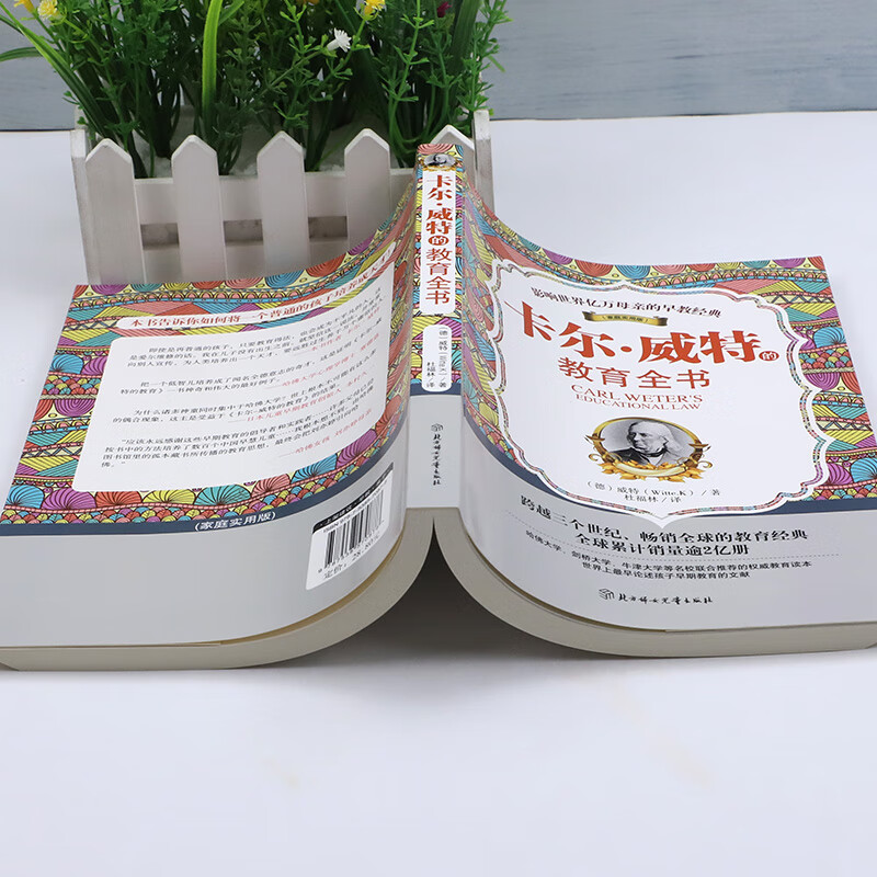卡尔·威特的教育全书详情图