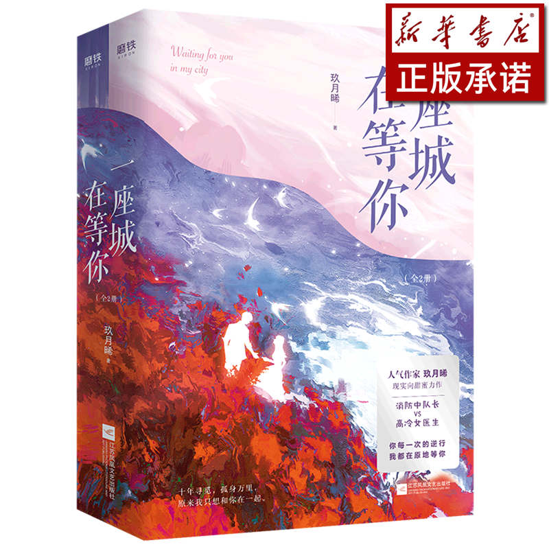一座城在等你(上下)