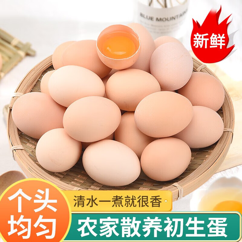 我老家农家山林散养初生蛋土鸡蛋盒装箱装简装单枚40g左右 6枚装/箱装约240g