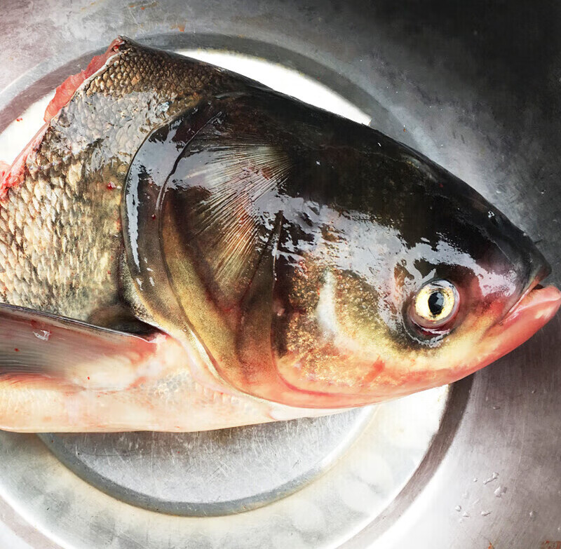 嫩个【京鲜送】花鲢鱼头洪泽湖淡水鱼头新鲜大头鲢鱼活鲜现杀鳙鱼 1.