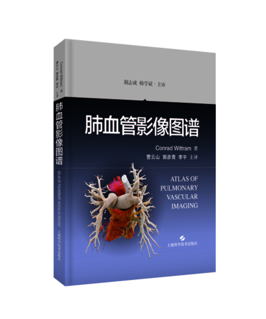 正版图书 肺血管影像图谱 医学内科学丛书 管影像图谱