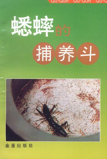 蟋蟀的捕养斗