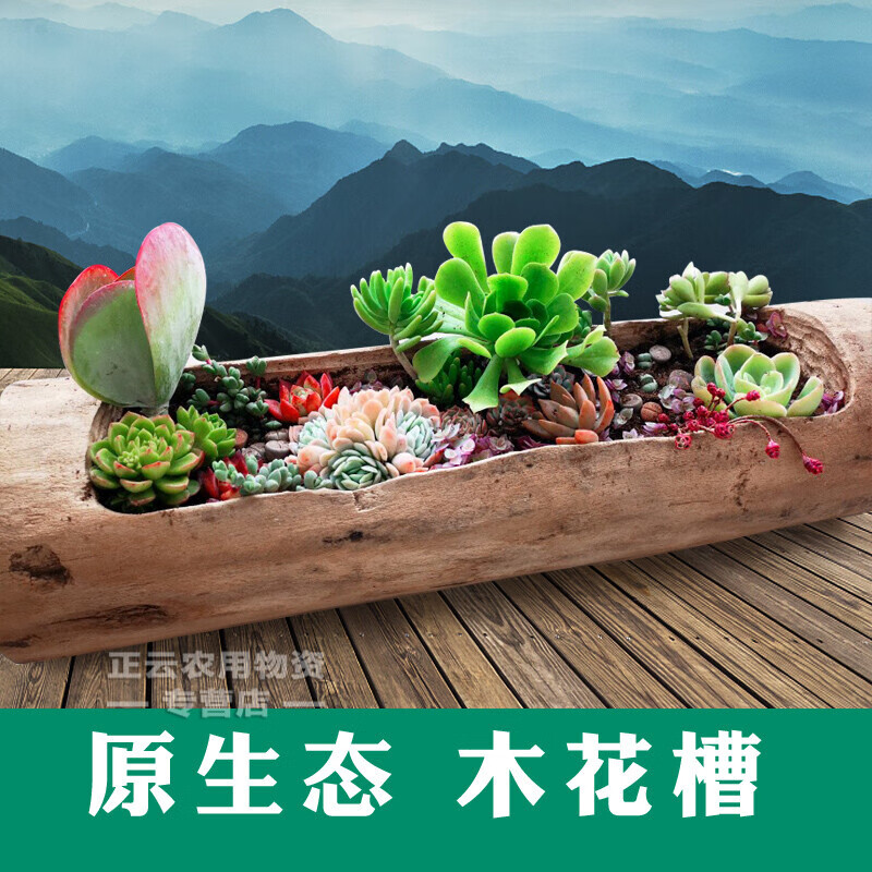 潮鸣木质花盆多肉花盆木质树桩长条形木桩木头大口径网红特大号创意宽