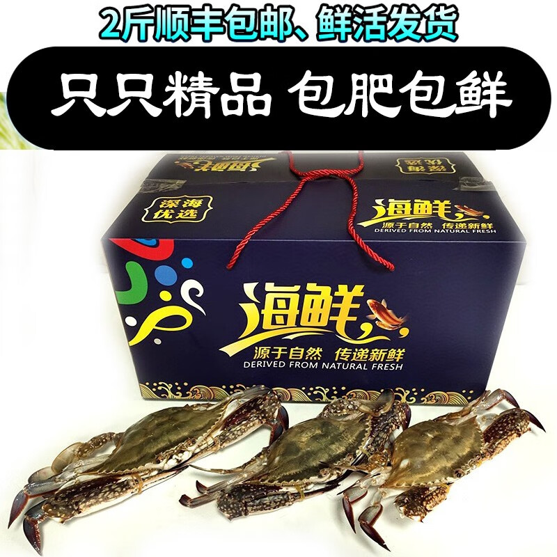 【活蟹】三蟹岛 梭子蟹鲜活礼盒  精品螃蟹鲜活礼盒 海鲜水产礼品 全母蟹 每只1斤以上 10只装