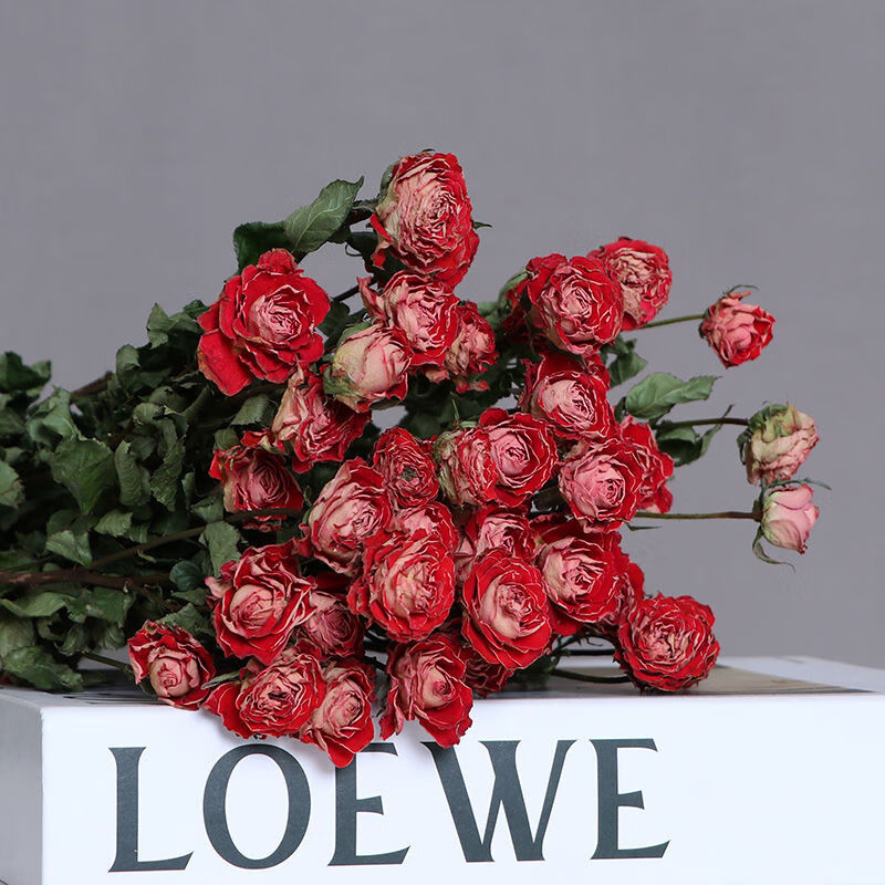 干花历史价格和最高价|干花价格历史