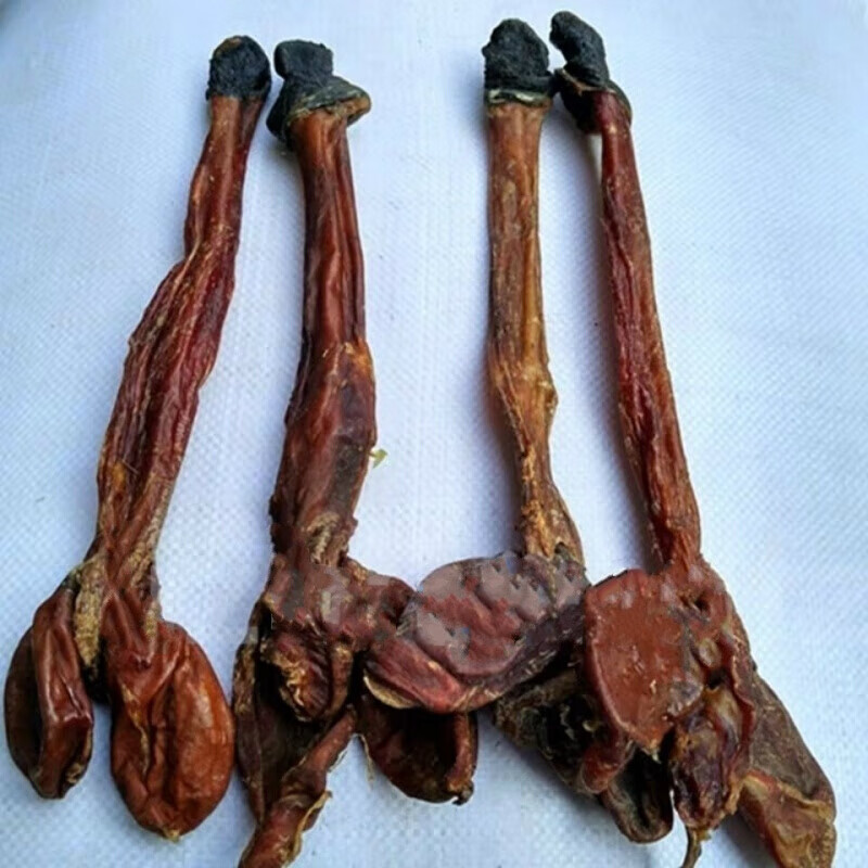 味巴哥驴鞭特大条淡干老驴鞭纯干带蛋 驴鞭小条