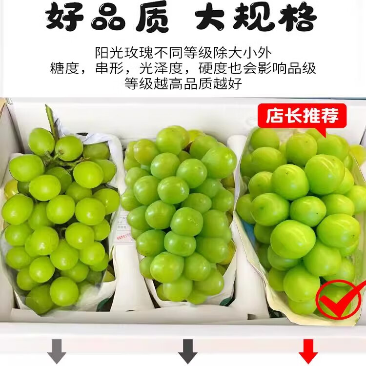 旭霁阳光玫瑰葡萄水果礼盒【顺丰/JD-送货上门】云南晴王香印提子新鲜 5斤精选装 单粒8-16g 净重4斤 商超品质果【精美礼盒】