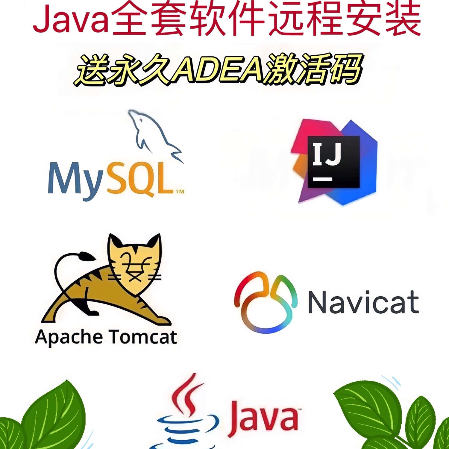 Java软件远程安装 JDK Eclipse安装包 送IDEA激活码 开发环境配置